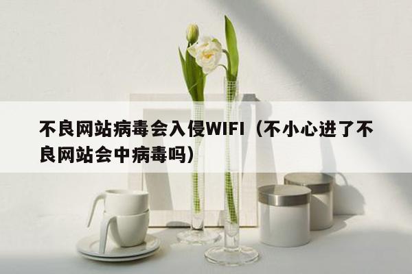 不良网站病毒会入侵WIFI（不小心进了不良网站会中病毒吗）