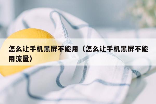 怎么让手机黑屏不能用（怎么让手机黑屏不能用流量）