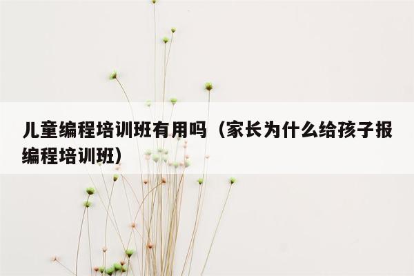 儿童编程培训班有用吗（家长为什么给孩子报编程培训班）