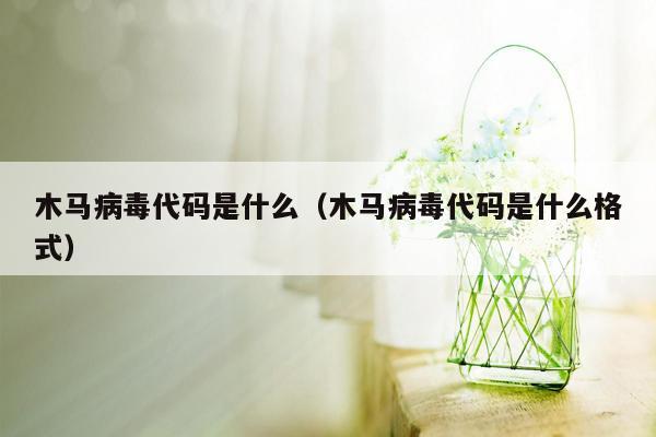 木马病毒代码是什么（木马病毒代码是什么格式）