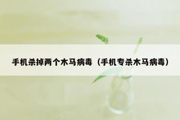 手机杀掉两个木马病毒（手机专杀木马病毒）