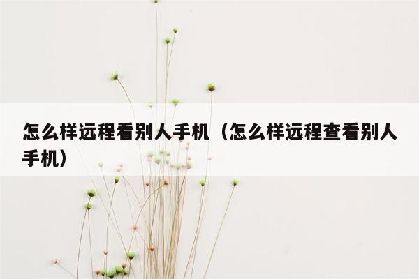 怎么样远程看别人手机（怎么样远程查看别人手机）