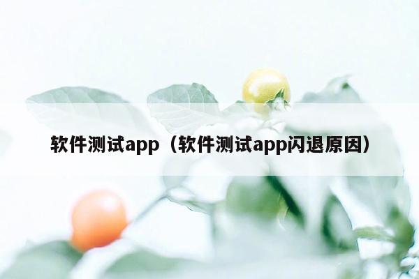 软件测试app（软件测试app闪退原因）