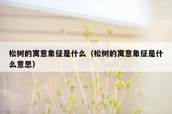 松树的寓意象征是什么（松树的寓意象征是什么意思）