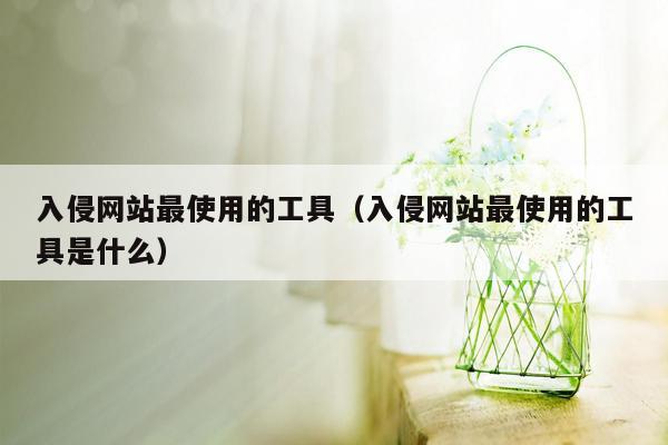 入侵网站最使用的工具（入侵网站最使用的工具是什么）