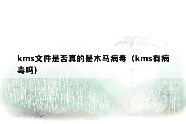 kms文件是否真的是木马病毒（kms有病毒吗）