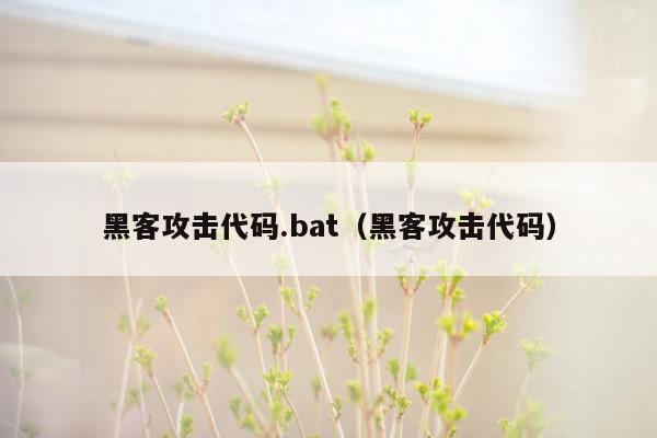 黑客攻击代码.bat（黑客攻击代码）