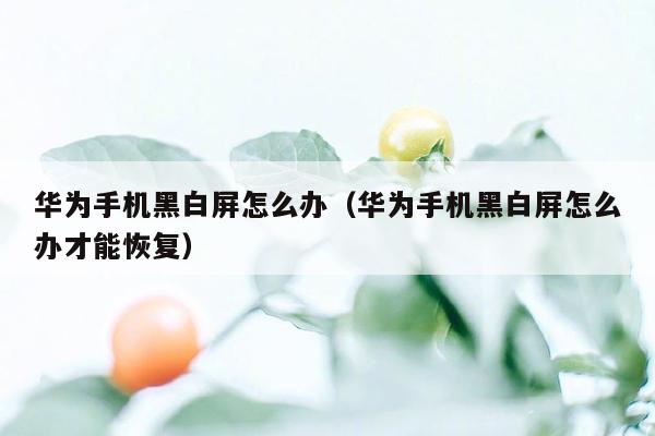 华为手机黑白屏怎么办（华为手机黑白屏怎么办才能恢复）