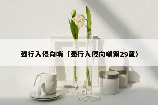 强行入侵向哨（强行入侵向哨第29章）