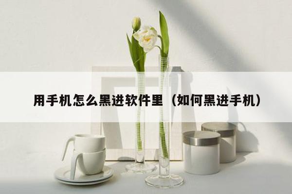 用手机怎么黑进软件里（如何黑进手机）