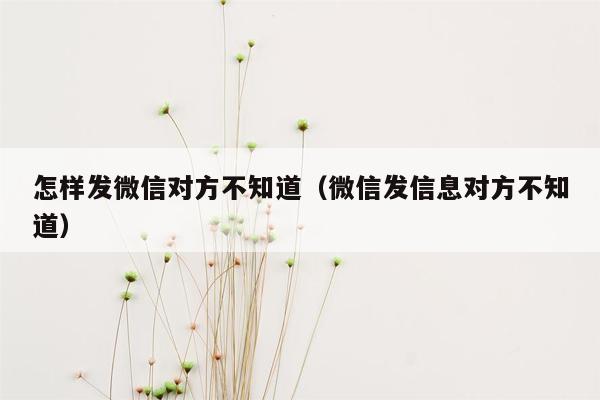 怎样发微信对方不知道（微信发信息对方不知道）