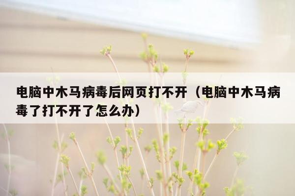 电脑中木马病毒后网页打不开（电脑中木马病毒了打不开了怎么办）