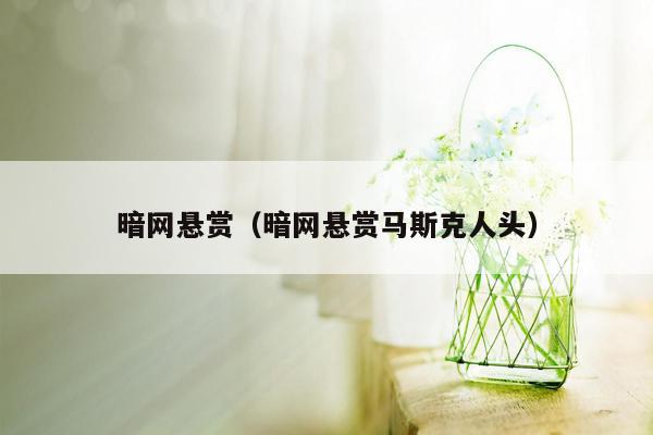 暗网悬赏（暗网悬赏马斯克人头）