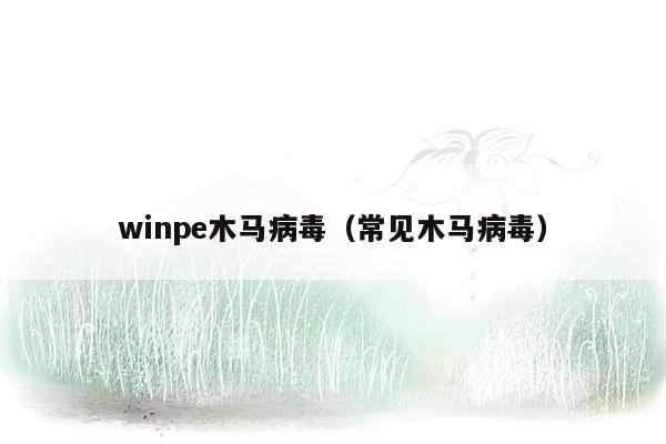 winpe木马病毒（常见木马病毒）