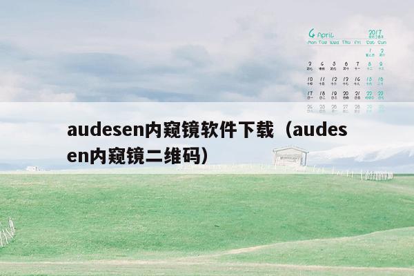 audesen内窥镜软件下载（audesen内窥镜二维码）