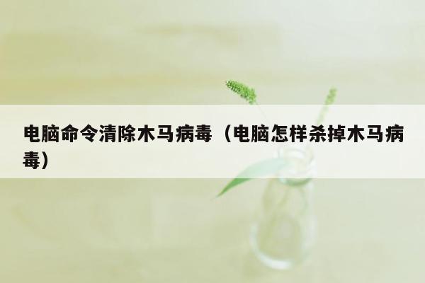 电脑命令清除木马病毒（电脑怎样杀掉木马病毒）