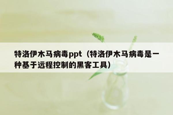 特洛伊木马病毒ppt（特洛伊木马病毒是一种基于远程控制的黑客工具）