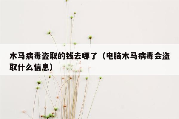 木马病毒盗取的钱去哪了（电脑木马病毒会盗取什么信息）