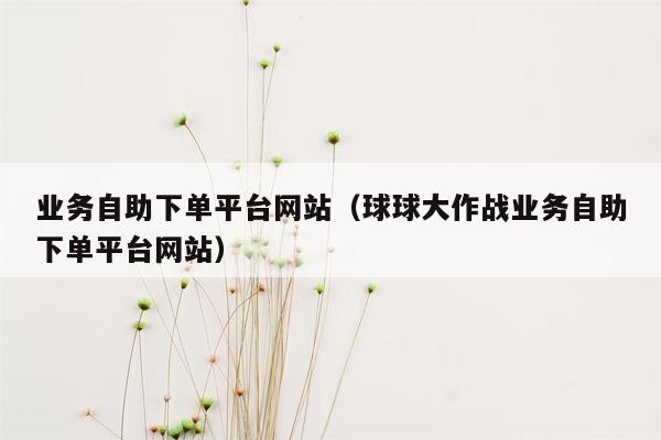 业务自助下单平台网站（球球大作战业务自助下单平台网站）