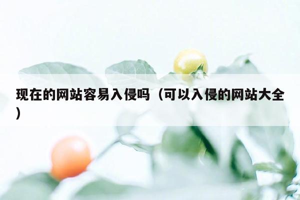 现在的网站容易入侵吗（可以入侵的网站大全）