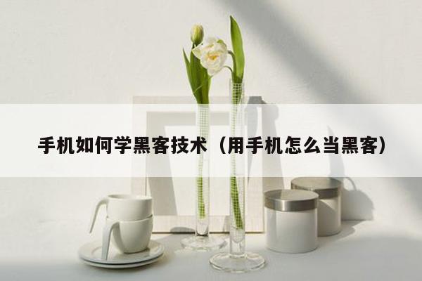 手机如何学黑客技术（用手机怎么当黑客）