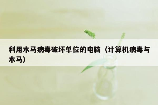 利用木马病毒破坏单位的电脑（计算机病毒与木马）