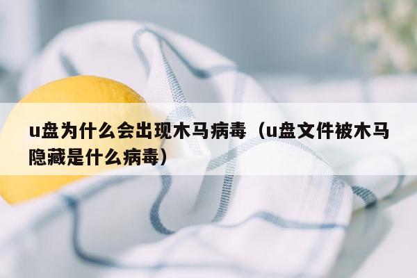 u盘为什么会出现木马病毒（u盘文件被木马隐藏是什么病毒）