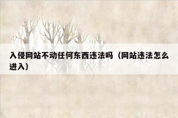 入侵网站不动任何东西违法吗（网站违法怎么进入）