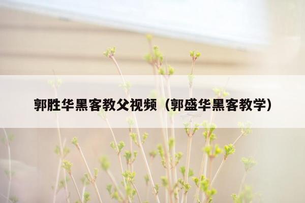 郭胜华黑客教父视频（郭盛华黑客教学）