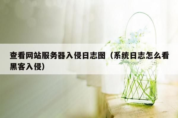 查看网站服务器入侵日志图（系统日志怎么看黑客入侵）