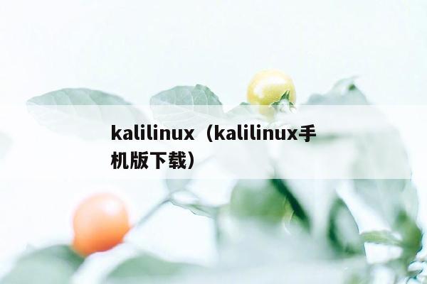 kalilinux（kalilinux手机版下载）