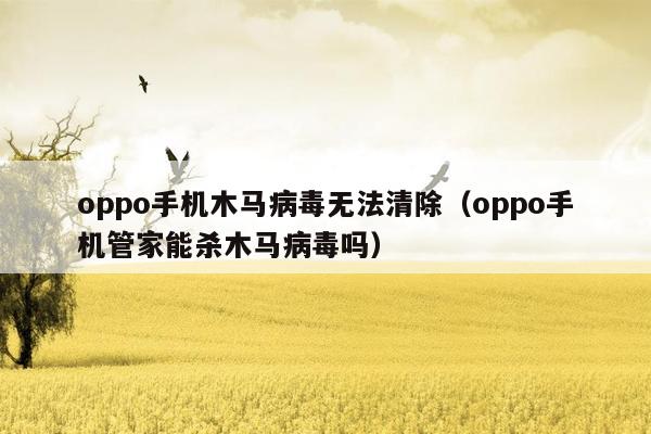 oppo手机木马病毒无法清除（oppo手机管家能杀木马病毒吗）