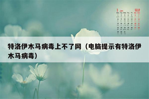 特洛伊木马病毒上不了网（电脑提示有特洛伊木马病毒）