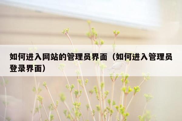 如何进入网站的管理员界面（如何进入管理员登录界面）