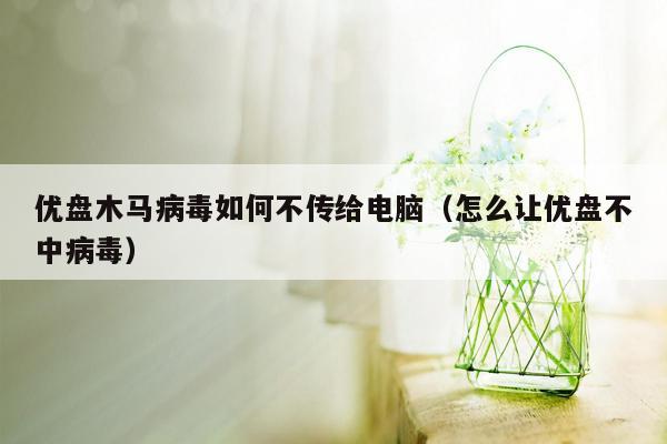 优盘木马病毒如何不传给电脑（怎么让优盘不中病毒）