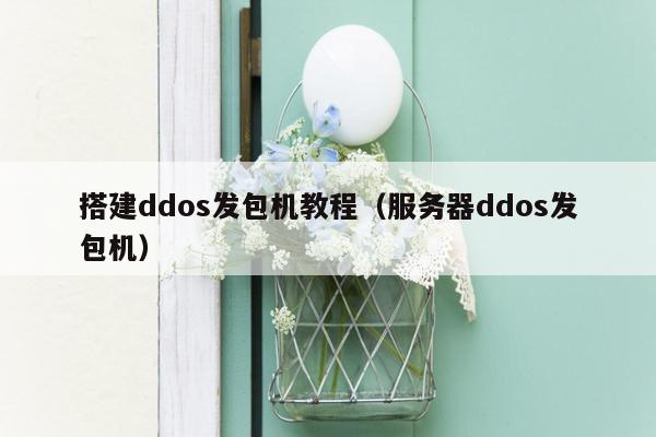 搭建ddos发包机教程（服务器ddos发包机）