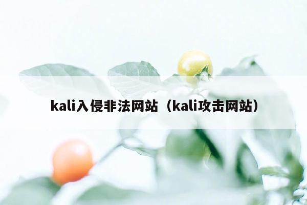 kali入侵非法网站（kali攻击网站）