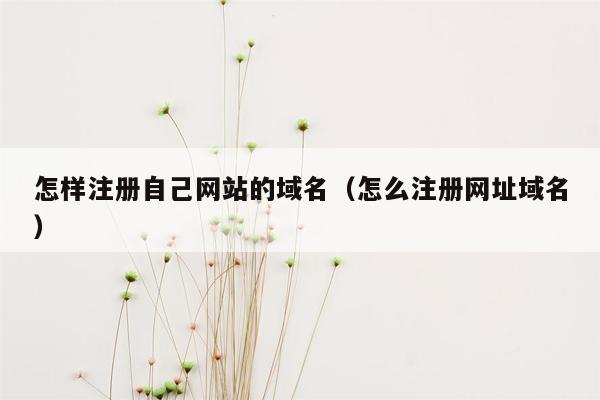 怎样注册自己网站的域名（怎么注册网址域名）