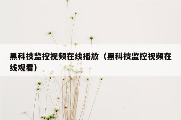 黑科技监控视频在线播放（黑科技监控视频在线观看）