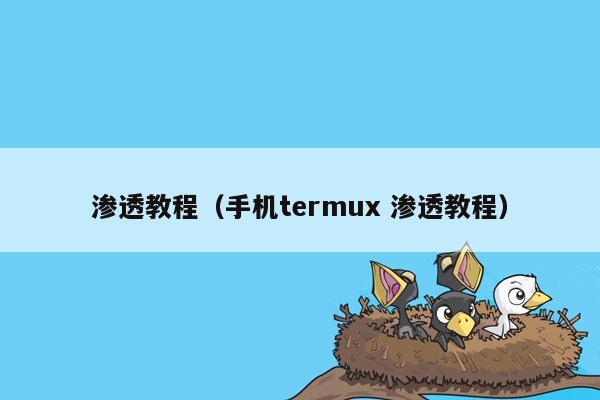 渗透教程（手机termux 渗透教程）