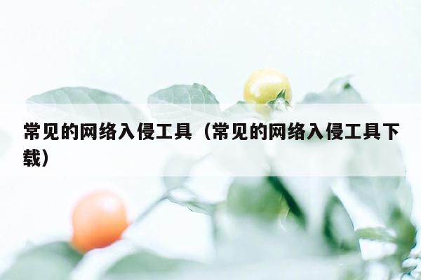 常见的网络入侵工具（常见的网络入侵工具下载）