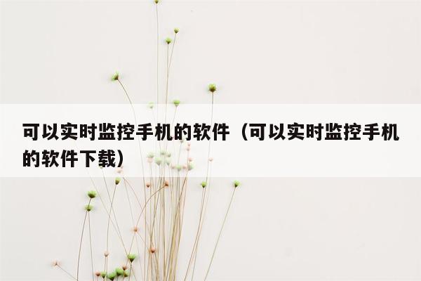 可以实时监控手机的软件（可以实时监控手机的软件下载）