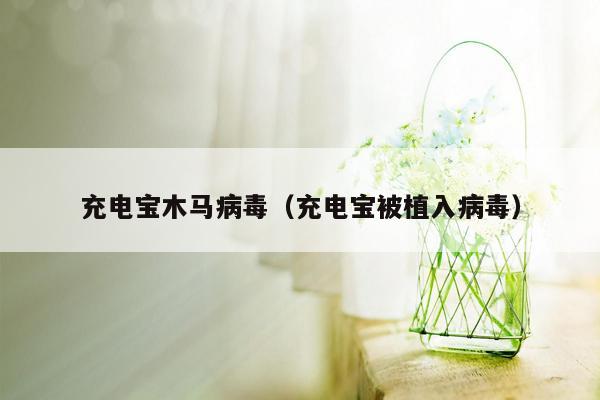 充电宝木马病毒（充电宝被植入病毒）