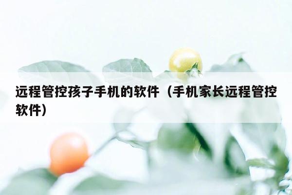 远程管控孩子手机的软件（手机家长远程管控软件）