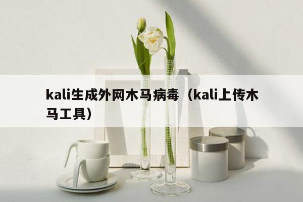 kali生成外网木马病毒（kali上传木马工具）