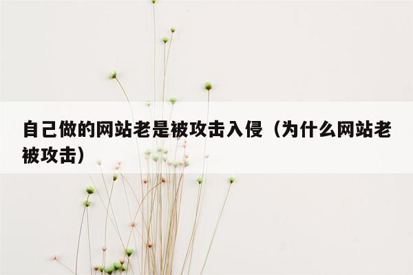 自己做的网站老是被攻击入侵（为什么网站老被攻击）