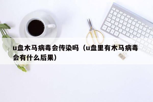 u盘木马病毒会传染吗（u盘里有木马病毒 会有什么后果）