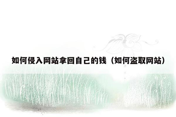 如何侵入网站拿回自己的钱（如何盗取网站）