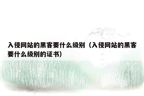 入侵网站的黑客要什么级别（入侵网站的黑客要什么级别的证书）