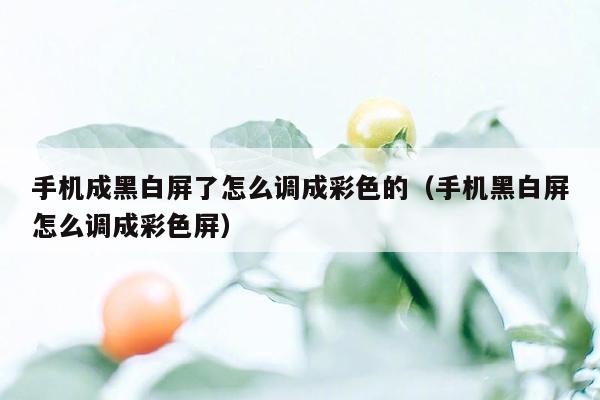 手机成黑白屏了怎么调成彩色的（手机黑白屏怎么调成彩色屏）